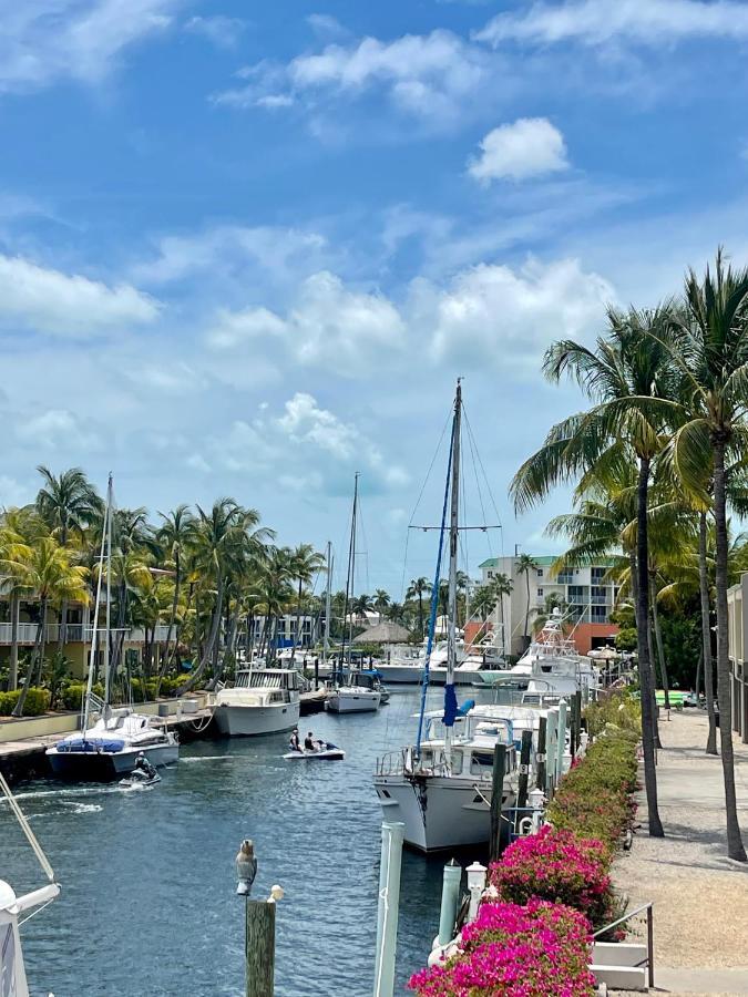 Dauboat Otel Key Largo Dış mekan fotoğraf